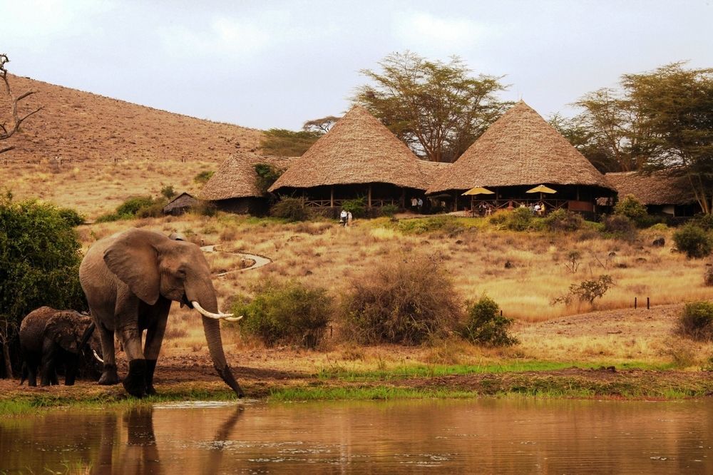 Elewana Tortilis Camp Otel Amboseli Dış mekan fotoğraf