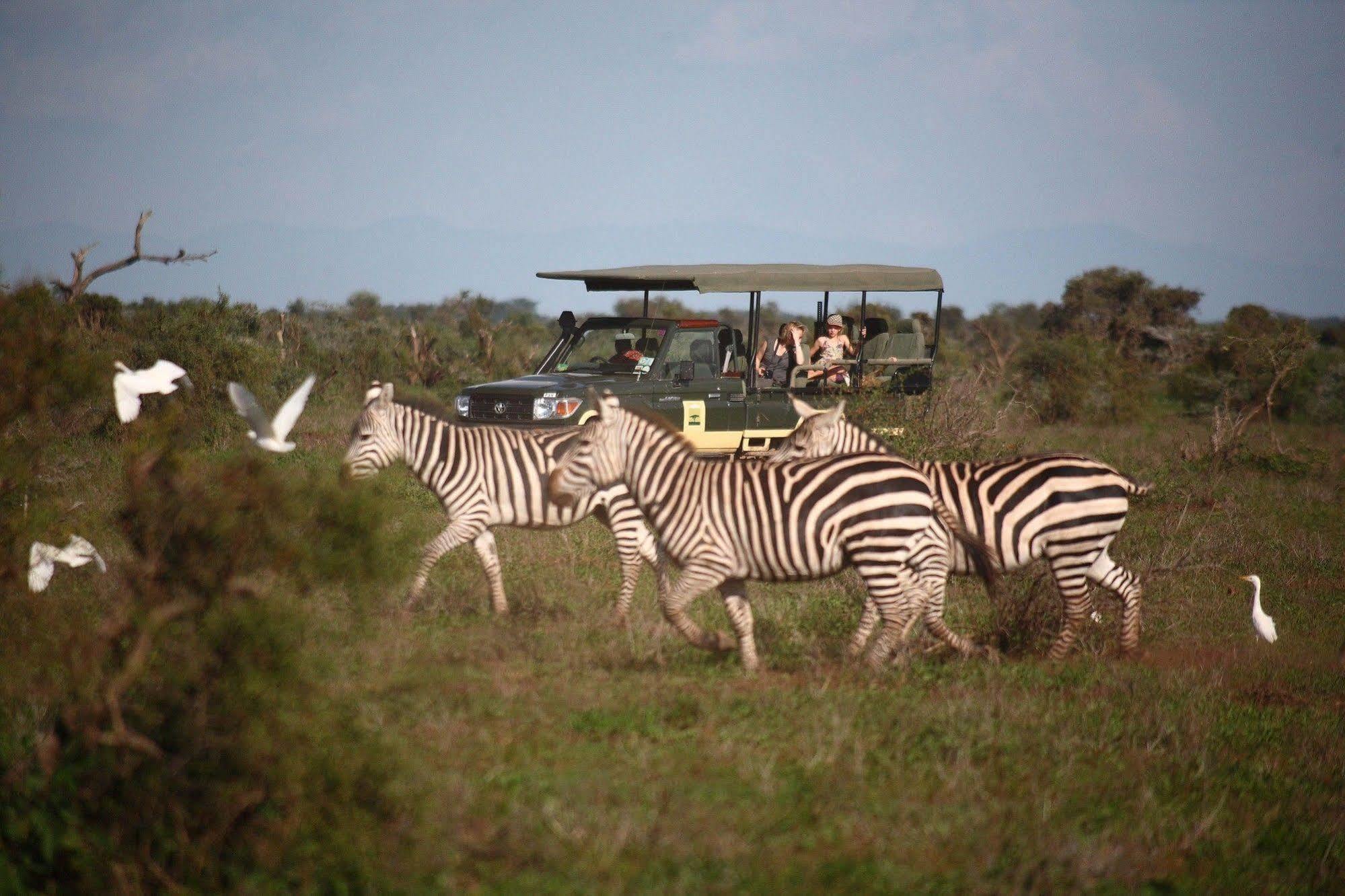 Elewana Tortilis Camp Otel Amboseli Dış mekan fotoğraf
