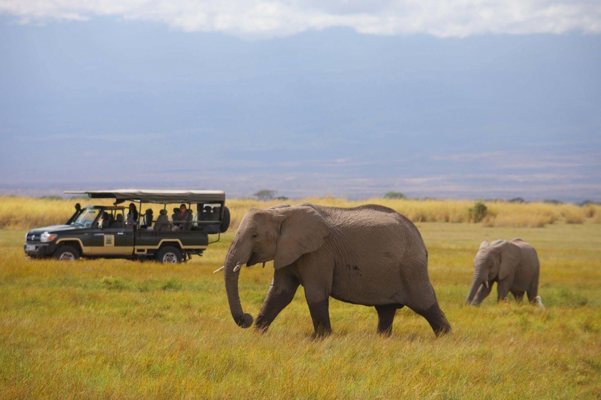 Elewana Tortilis Camp Otel Amboseli Dış mekan fotoğraf
