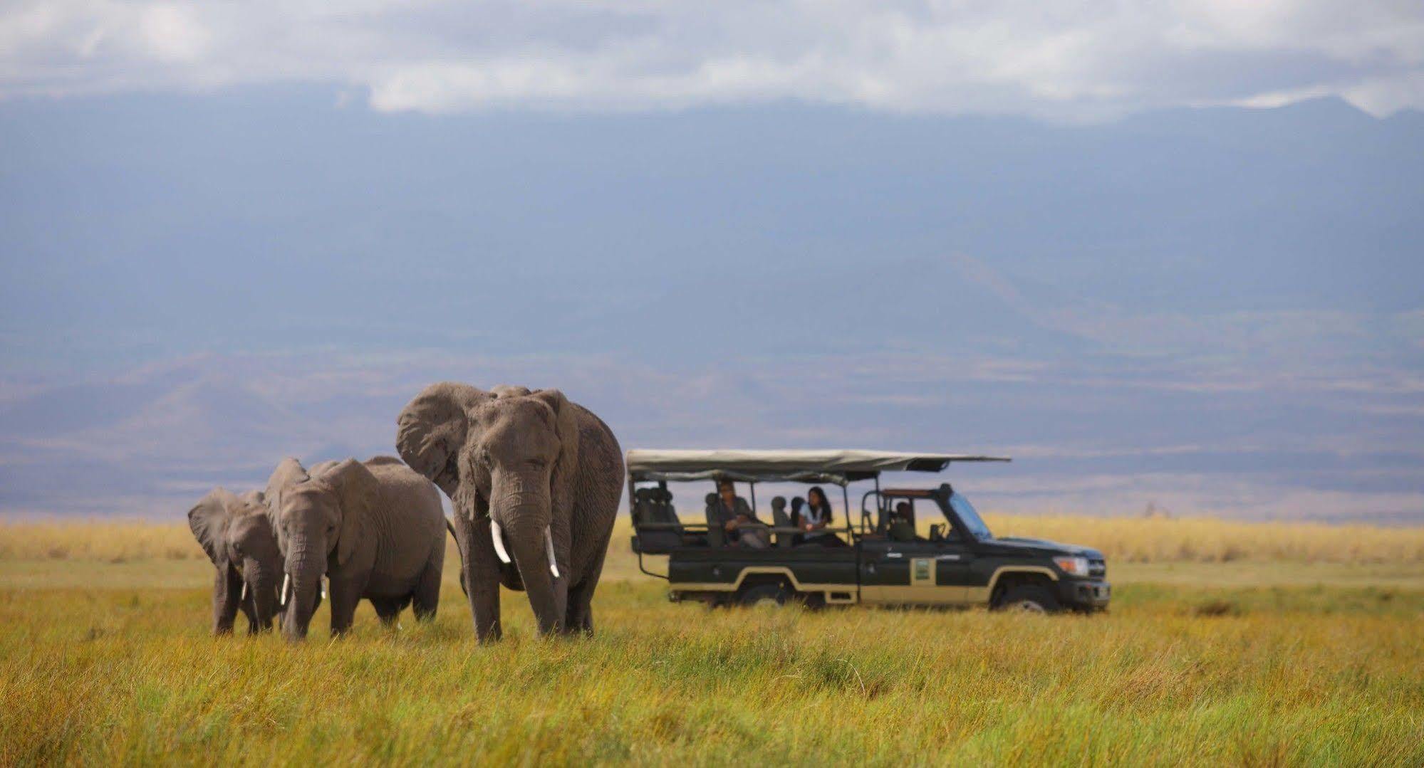 Elewana Tortilis Camp Otel Amboseli Dış mekan fotoğraf